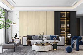 安徽轻奢风格-客厅